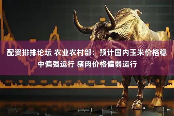配资排排论坛 农业农村部：预计国内玉米价格稳中偏强运行 猪肉价格偏弱运行