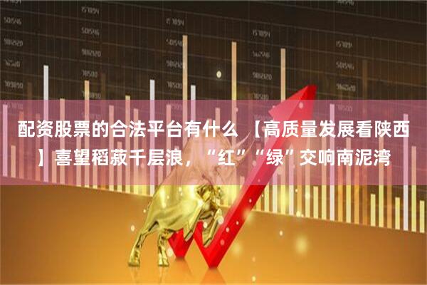 配资股票的合法平台有什么 【高质量发展看陕西】喜望稻菽千层浪,“红”“绿”交响南泥湾